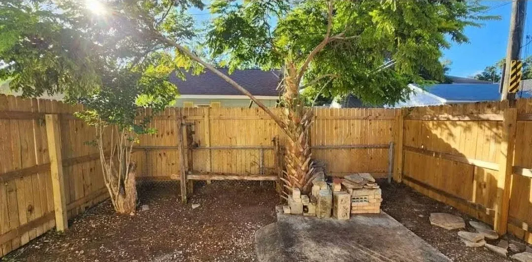 After: Backyard junk & overgrowth cleanout