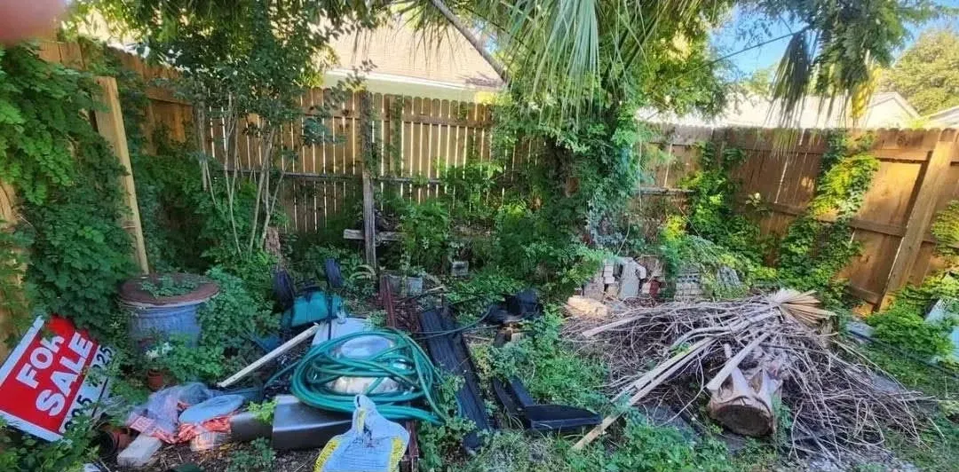 Before: Backyard junk & overgrowth cleanout