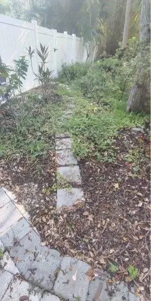 Before: Stepping-stone garden path